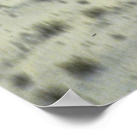 コブラAH-1S ポスター (角)