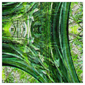 コブルの庭…..... ファブリック (見本)