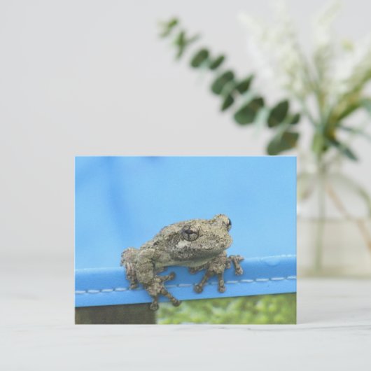 コプスの木のカエルぶら下がったの出はがき ポストカード (スタンド正面)