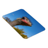 コプフヴォムヴォゲルストラウス マグネット (右側)