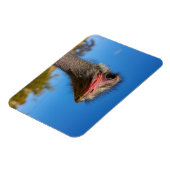 コプフヴォムヴォゲルストラウス マグネット (左側)