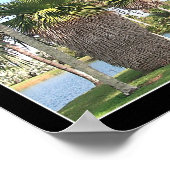 コペルニシア ポスター (角)