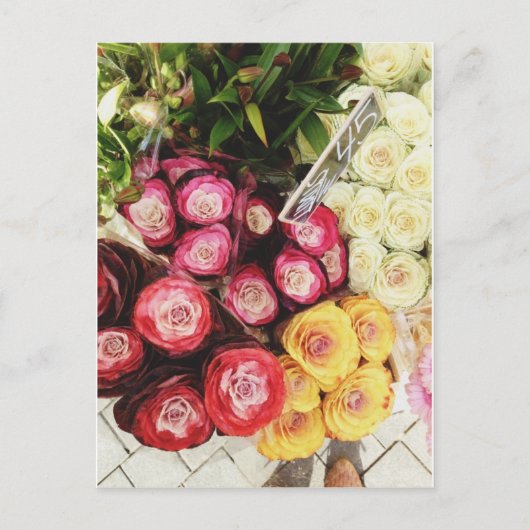 コペンハーゲンの虹の花 ポストカード (正面)