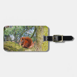 コペンハーゲン、デンマークのアカリス ラゲッジタグ