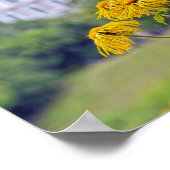 コペンハーゲン、デンマーク、ひまわり ポスター (角)