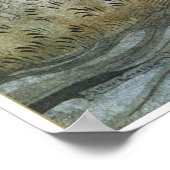 コマス：「サブリナが上がり、水ニンフが集まる」 ポスター (角)