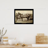 コマンチ ポスター (キッチン)