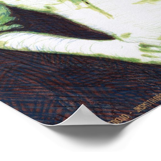 コマ伯ポスター ポスター (角)