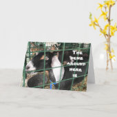 **コミカルなヤギ**どっちの誕生日が君のためだと言う カード (黄色い花)