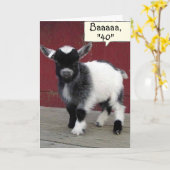 *コミカルなヤギ*まだ40日に「39」と見える* カード (黄色い花)