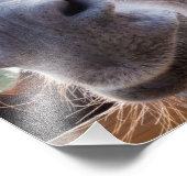 コミカルな灰色の笑顔のロバ フォトプリント (角)