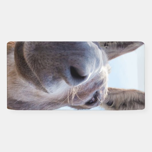 コミカルな灰色の笑顔のロバ 横断幕 (横)