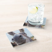 コミカルな笑顔の灰色のロバ ガラスコースター (アングル)