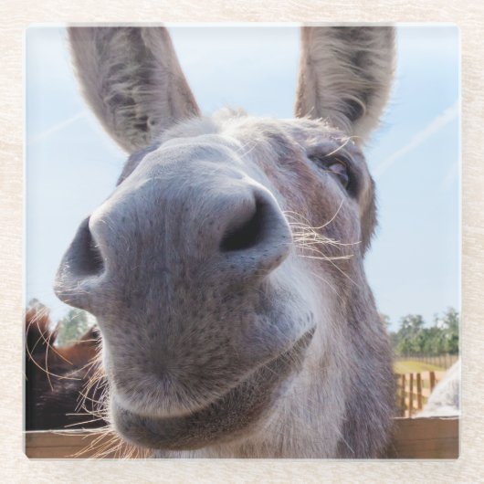 コミカルな笑顔の灰色のロバ ガラスコースター (正面)