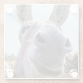 コミカルな笑顔の灰色のロバ ガラスコースター (裏面)