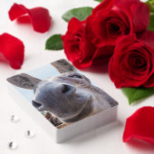 コミカルな笑顔の灰色のロバ トランプ (インサイチュ (バレンタイン))