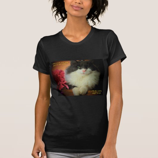 コミットメントの問題なし 面白い猫のミーム Tシャツ (正面)