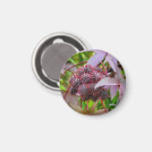 コミュニスマグネット マグネット (正面/裏面)