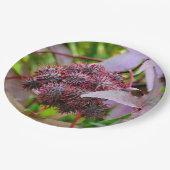 コミューヌス紙プレート ペーパープレート (アングル)