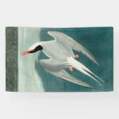 コミョウクイナ・アウドゥボンの鳥の野生画 横断幕 (横)