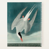 コミョウクイワシドリのオーデュボン鳥の野生生物画 プランナー手帳 (裏面)