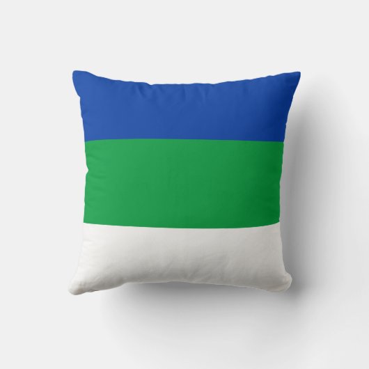 コミ国旗 クッション (裏面)