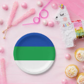 コミ国旗 ペーパープレート (パーティー)