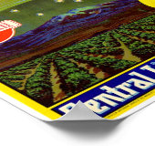 コメットブランド レモン クリエイトラベル ウェスタンリソーコー ポスター (角)