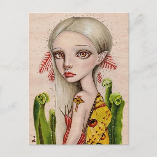 コメットモス ポストカード (正面)