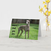 コメディアイリッシュグレイハウンド幸せ"60誕生日" カード (黄色い花)