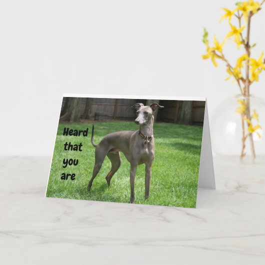 コメディアイリッシュグレイハウンド幸せ"60誕生日" カード (黄色い花)