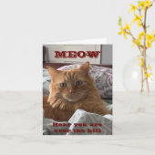 コメディアキャットは40歳の丘の上で幸せだと言う カード (黄色い花)