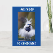 「コメディアバード」カードからのハッピーバースデー カード (正面)