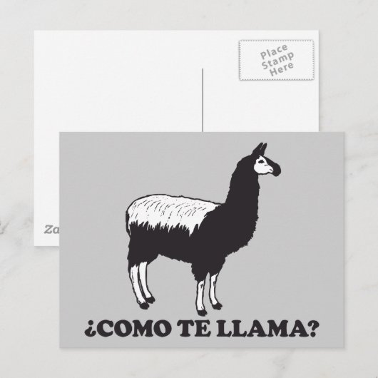 コモテラマ ポストカード (正面/裏面)