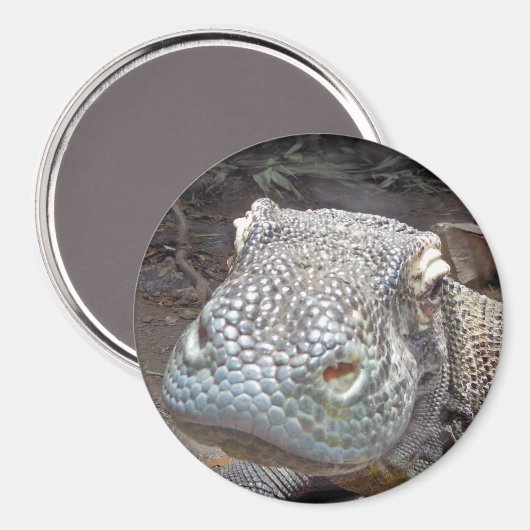 コモドの表情 マグネット (正面/裏面)