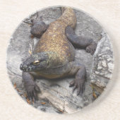 コモドドラゴンと岩の光 コースター (正面)
