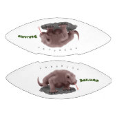 コモドドラゴンイラストレーション アメリカンフットボール (パネル)