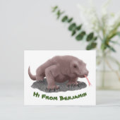 コモドドラゴンイラストレーション ポストカード (スタンド正面)