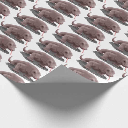 コモドドラゴンイラストレーション ラッピングペーパー (角)