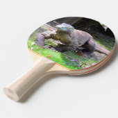 コモドドラゴン卓球ラケット 卓球ラケット (正面アングル)