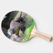 コモドドラゴン卓球ラケット 卓球ラケット (横)