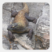 コモドドラゴン迫力のアップ スクエアシール (正面)