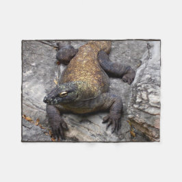 コモドドラゴン 暖かい岩の情景 フリースブランケット