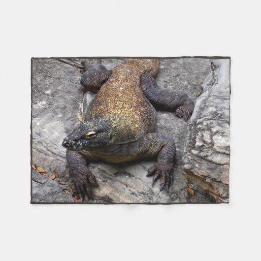 コモドドラゴン 暖かい岩の情景 フリースブランケット (正面(横))