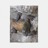 コモドドラゴン 暖かい岩の情景 フリースブランケット (正面)