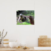 コモドドラゴン(0606)ポスター ポスター (キッチン)