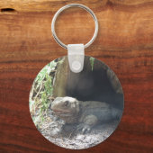 コモド来・ドラゴンが木の下から出て キーホルダー (正面)