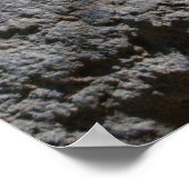 コモド・ドラゴンが舌を出す ポスター (角)