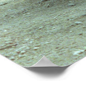 コモド・ドラゴンズ ポスター (角)