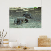 コモド・ドラゴンズ ポスター (キッチン)